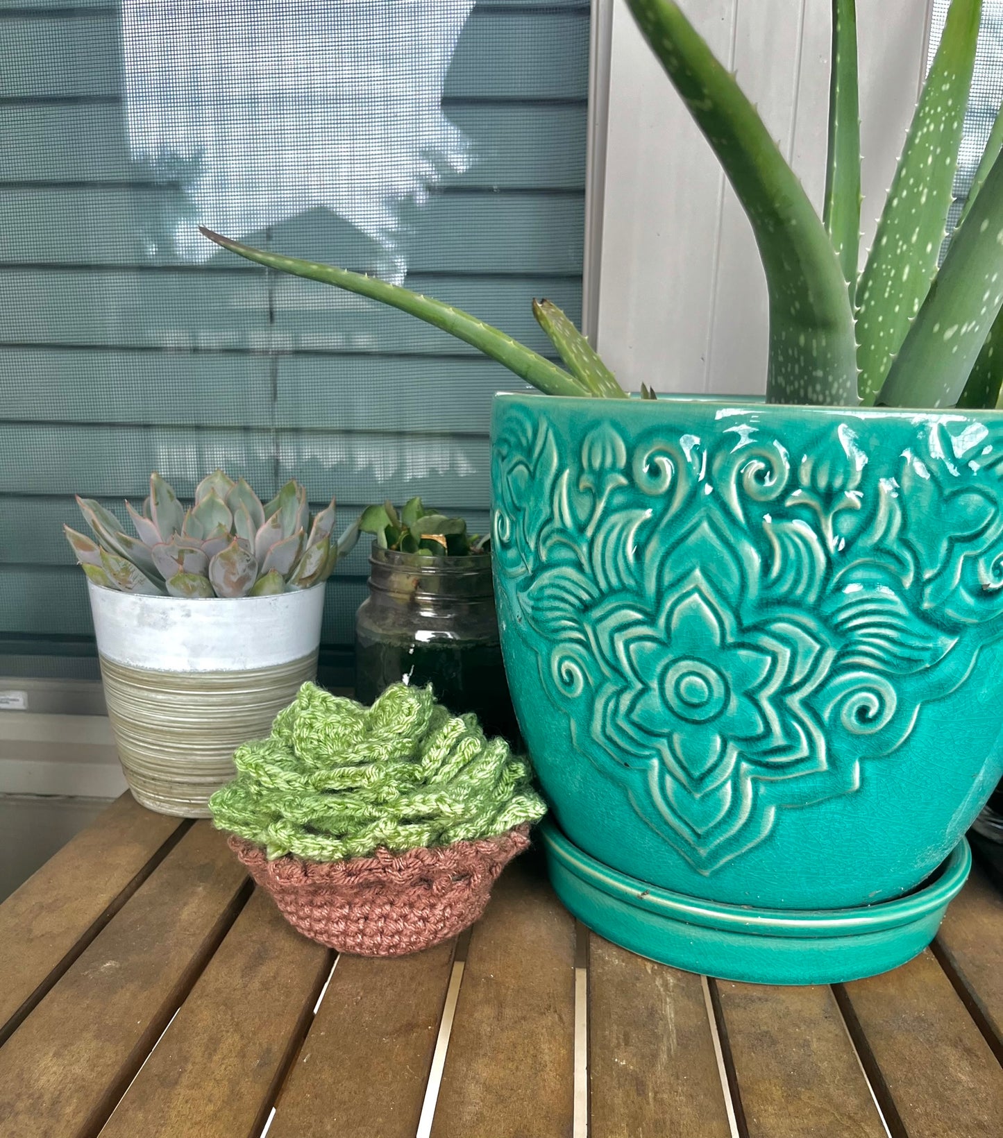 Succulent Plant Coaster