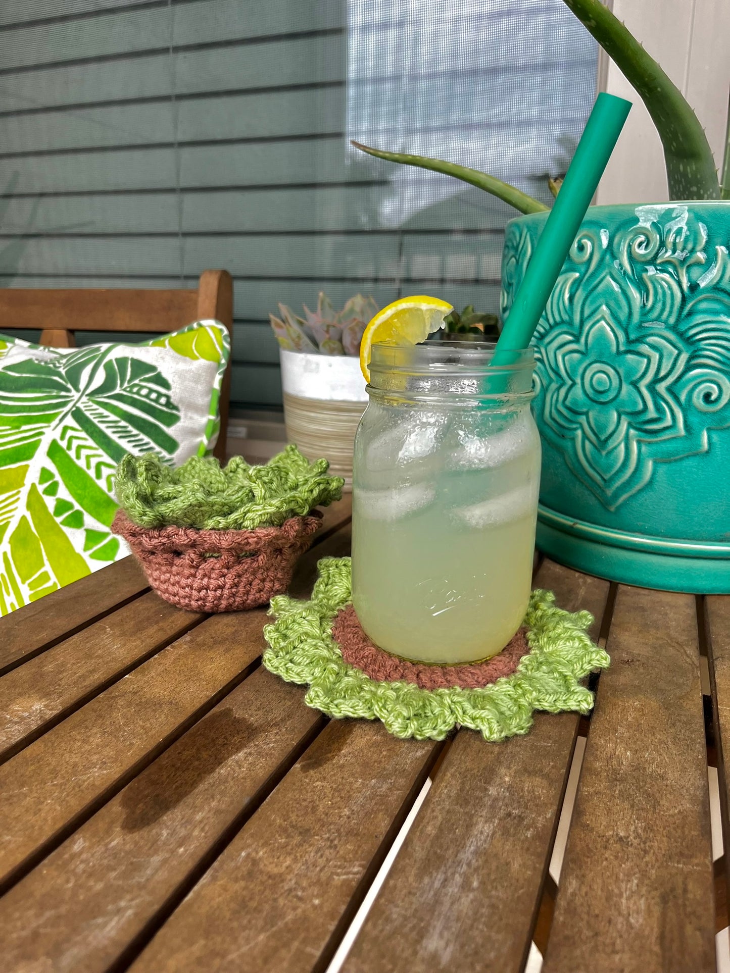 Succulent Plant Coaster